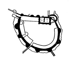 Бресюир. Замок, конец XI в. Бресюир. Замок, конец XI в.